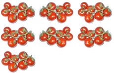 Tomaten-7x7.jpg